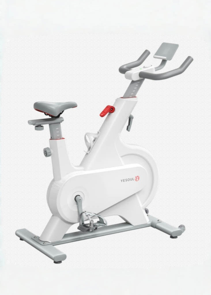 YESOUL M1P Indoorbike