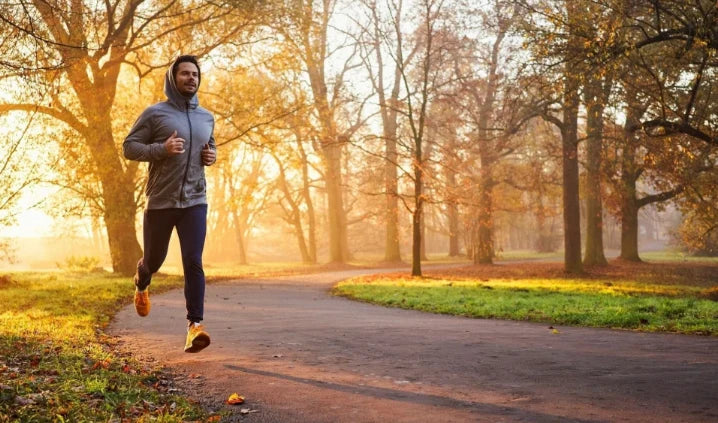 Summer to Fall Fitness: How to Maintain a Consistent Home Workout Routine and Stay Active