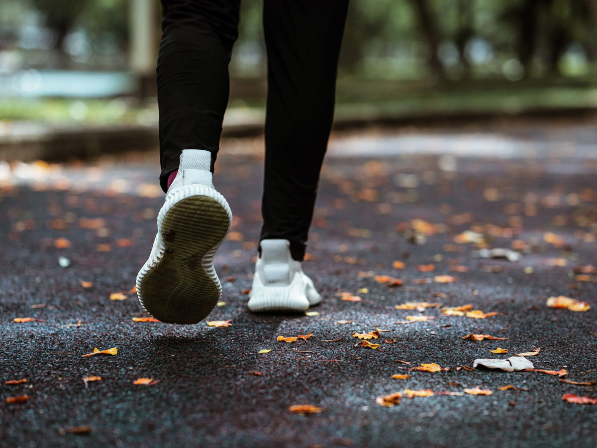 YESOUL Fall Recovery Guide: How Gentle Cardio and Low Impact Exercise Support Your Autumn Routine