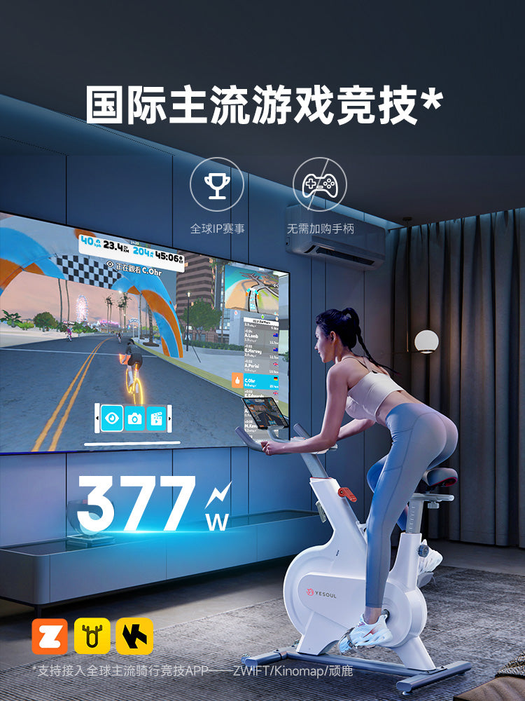 YESOUL M1P Indoorbike